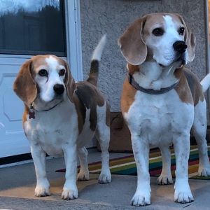 Meet your Posher, Laurie